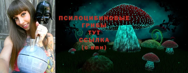 мяу мяу мука Алексин