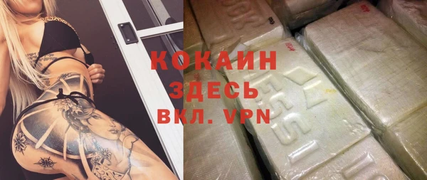 хмурый Алзамай