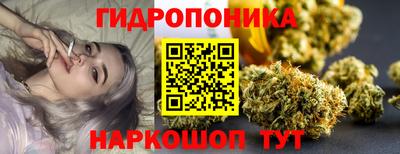 прущие грибы Кандалакша