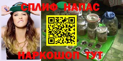 прущие грибы Кандалакша