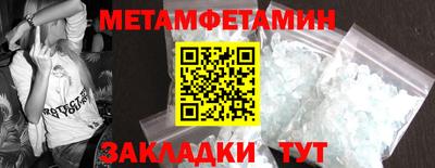 прущие грибы Кандалакша
