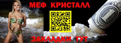 прущие грибы Кандалакша