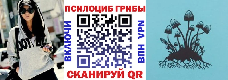 дарнет шоп Михайловск сайты даркнета какой сайт Галлюциногенные грибы ЛСД